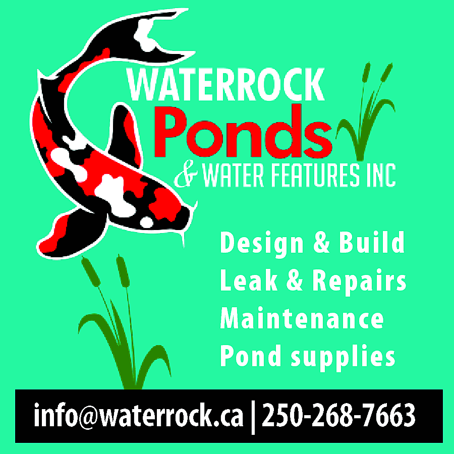 Design & Build <br>Leak &  Design & Build  Leak & Repairs  Maintenance  Pond supplies    info@waterrock.ca | 250-268-7663    