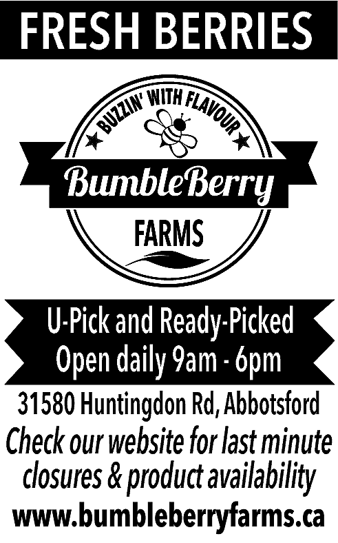 FRESH BERRIES <br> <br>U-Pick and  FRESH BERRIES    U-Pick and Ready-Picked  Open daily 9am - 6pm  31580 Huntingdon Rd, Abbotsford    Check our website for last minute  closures & product availability  www.bumbleberryfarms.ca    