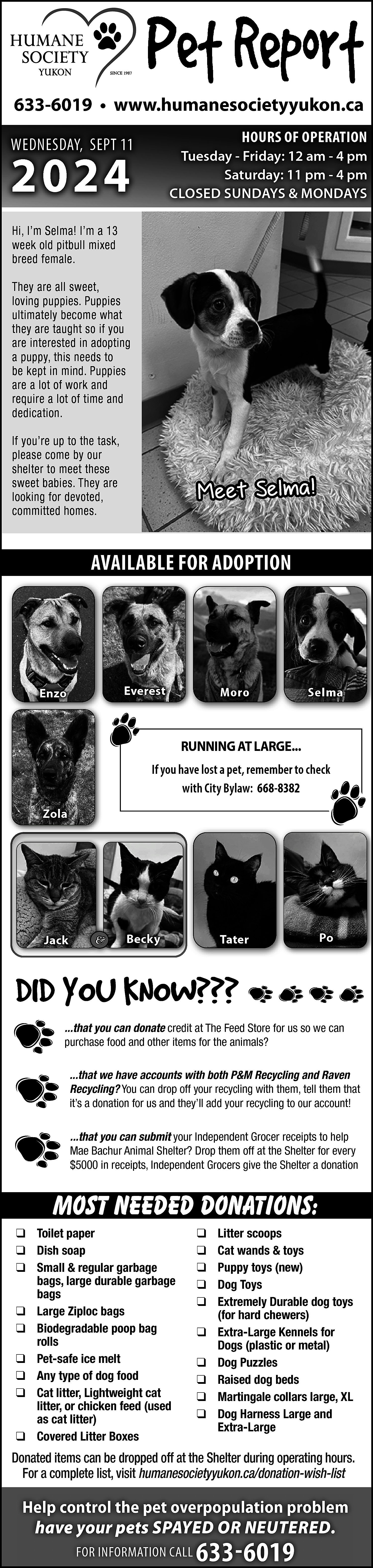 633-6019 • www.humanesocietyyukon.ca <br>HOURS OF  633-6019 • www.humanesocietyyukon.ca  HOURS OF OPERATION    WEDNESDAY, SEPT 11    2024    Tuesday - Friday: 12 am - 4 pm  Saturday: 11 pm - 4 pm  CLOSED SUNDAYS & MONDAYS    Hi, I’m Selma! I’m a 13  week old pitbull mixed  breed female.  They are all sweet,  loving puppies. Puppies  ultimately become what  they are taught so if you  are interested in adopting  a puppy, this needs to  be kept in mind. Puppies  are a lot of work and  require a lot of time and  dedication.  If you’re up to the task,  please come by our  shelter to meet these  sweet babies. They are  looking for devoted,  committed homes.    M ee t Se lm a!    AVAILABLE FOR ADOPTION    Everest    Enzo    Moro    Selma    RUNNING AT LARGE...  If you have lost a pet, remember to check  with City Bylaw: 668-8382  Zola    Jack    &    Becky    Tater    Po    ...that you can donate credit at The Feed Store for us so we can  purchase food and other items for the animals?  ...that we have accounts with both P&M Recycling and Raven  Recycling? You can drop off your recycling with them, tell them that  it’s a donation for us and they’ll add your recycling to our account!  ...that you can submit your Independent Grocer receipts to help  Mae Bachur Animal Shelter? Drop them off at the Shelter for every  $5000 in receipts, Independent Grocers give the Shelter a donation    Most needed donations:  ❑ Toilet paper  ❑ Dish soap  ❑ Small & regular garbage  bags, large durable garbage  bags  ❑ Large Ziploc bags  ❑ Biodegradable poop bag  rolls  ❑ Pet-safe ice melt  ❑ Any type of dog food  ❑ Cat litter, Lightweight cat  litter, or chicken feed (used  as cat litter)  ❑ Covered Litter Boxes    ❑  ❑  ❑  ❑  ❑  ❑  ❑  ❑  ❑  ❑    Litter scoops  Cat wands & toys  Puppy toys (new)  Dog Toys  Extremely Durable dog toys  (for hard chewers)  Extra-Large Kennels for  Dogs (plastic or metal)  Dog Puzzles  Raised dog beds  Martingale collars large, XL  Dog Harness Large and  Extra-Large    Donated items can be dropped off at the Shelter during operating hours.  For a complete list, visit humanesocietyyukon.ca/donation-wish-list    Help control the pet overpopulation problem  have your pets SPAYED OR NEUTERED.  FOR INFORMATION CALL    633-6019    