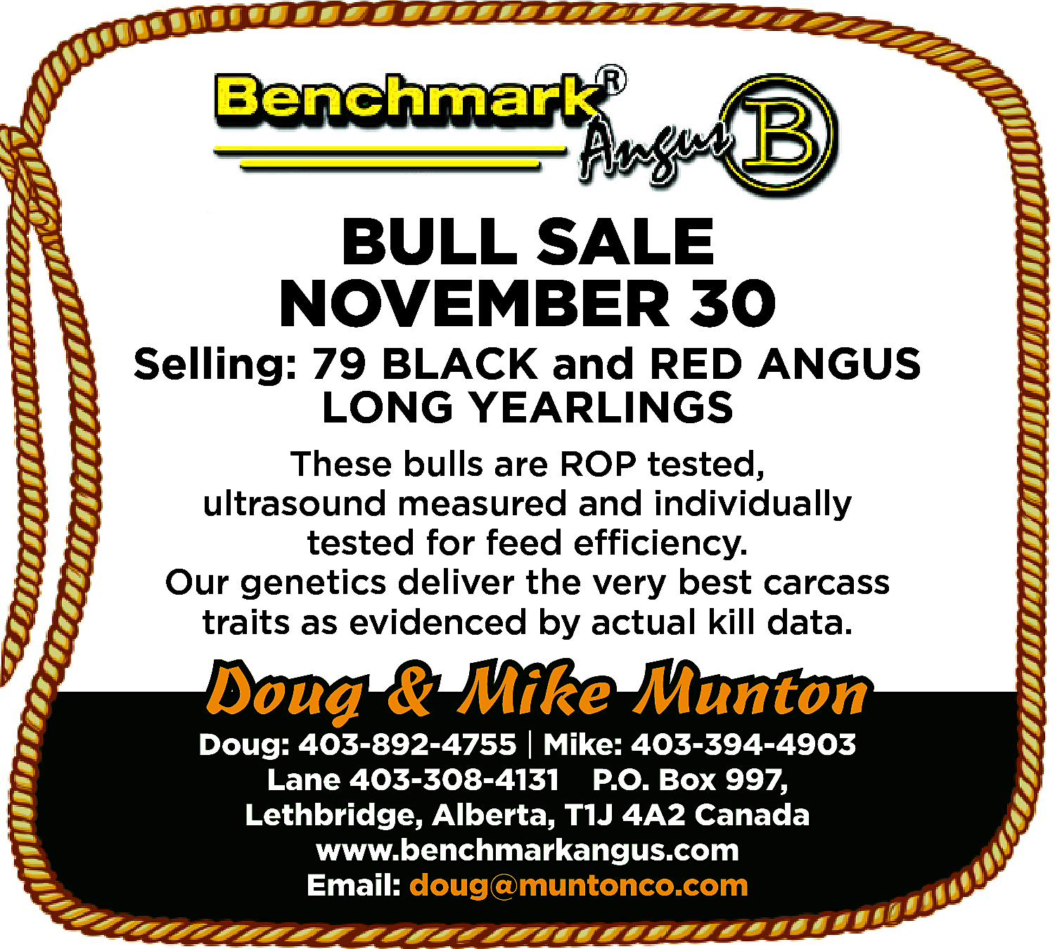 BULL SALE <br>NOVEMBER 30 <br>  BULL SALE  NOVEMBER 30    Selling: 79 BLACK and RED ANGUS  LONG YEARLINGS  These bulls are ROP tested,  ultrasound measured and individually  tested for feed efficiency.  Our genetics deliver the very best carcass  traits as evidenced by actual kill data.  Doug: 403-892-4755 | Mike: 403-394-4903  Lane 403-308-4131 P.O. Box 997,  Lethbridge, Alberta, T1J 4A2 Canada  www.benchmarkangus.com  Email: doug@muntonco.com    