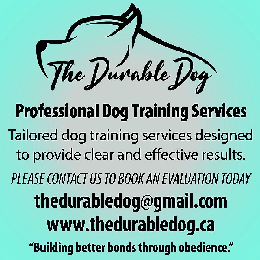 Professional Dog Training Services <br>Tailored  Professional Dog Training Services  Tailored dog training services designed  to provide clear and effective results.  PLEASE CONTACT US TO BOOK AN EVALUATION TODAY    thedurabledog@gmail.com  www.thedurabledog.ca    “Building better bonds through obedience.”    